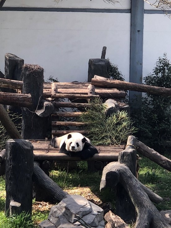 1688373680247487.jpg 图片2.jpg