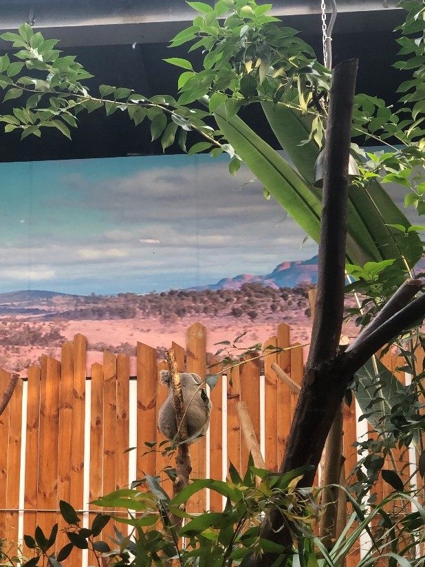 1688373692944470.jpg 图片3.jpg