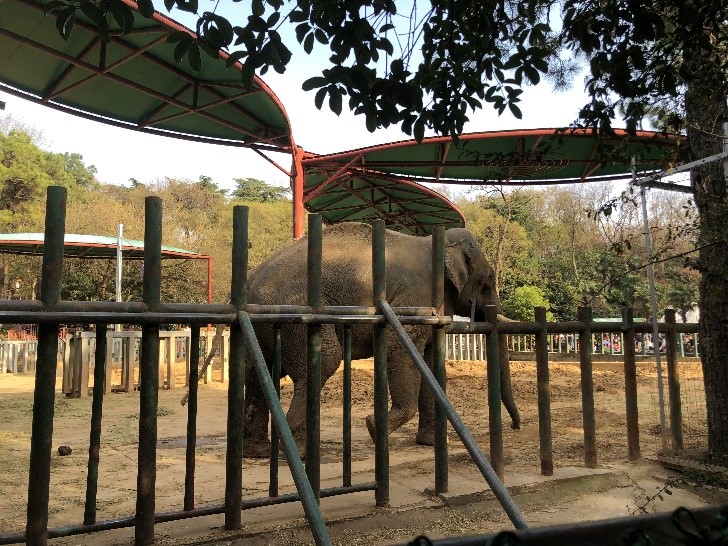 1688373703227007.jpg 图片4.jpg