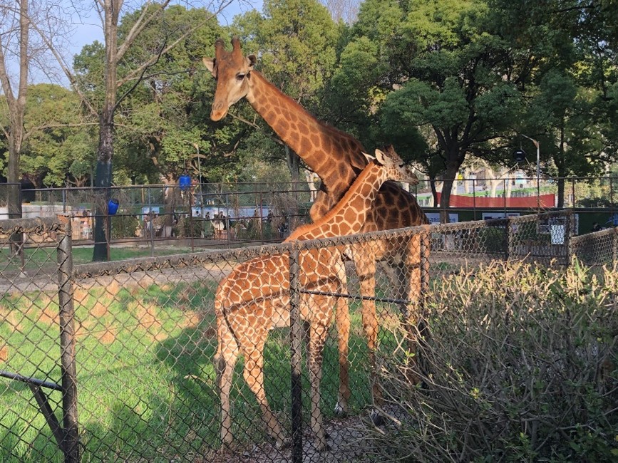 1688373719884177.jpg 图片5.jpg