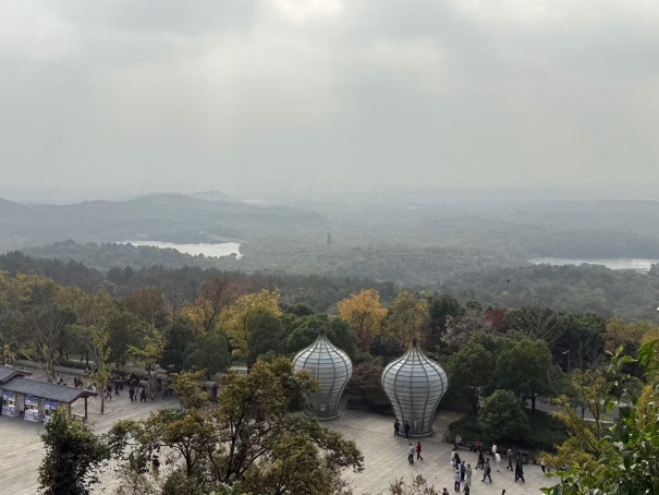 1732346133805051.png image.png